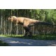 Dinozaurų karalystė ir Amerikos indėnų legendos