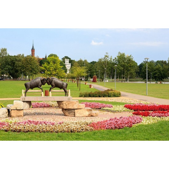 Nuotykių diena Druskininkuose