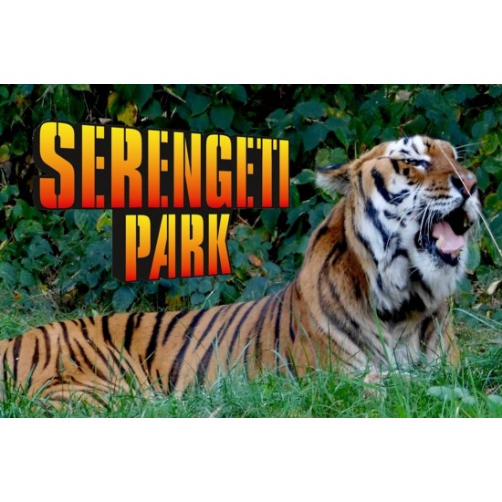 Atrask! Išbandyk! Išdrįsk! Serengeti – Legolendas – Heide