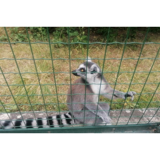 Skonių laboratorija ir nuotykiai Rygos zoologijos sode