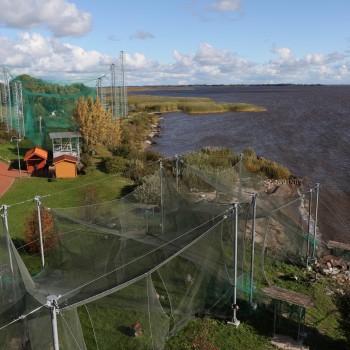 Pamario lobiai: nuo Ventės rago iki Klaipėdos – atradimų kupina kelionė